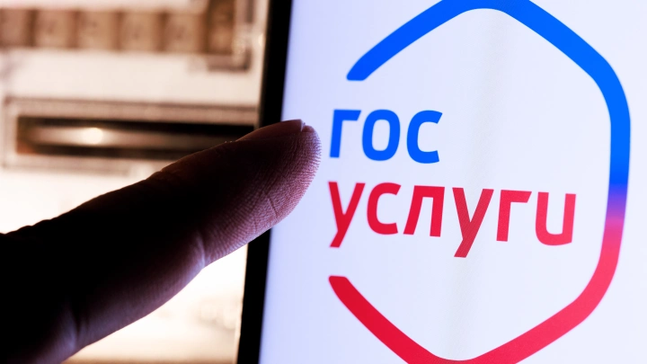 Привязанные к Госуслугам номера начнут проверять: Что от этого изменится и кому нужно переживать