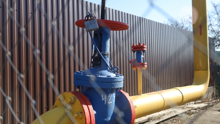 Подготовка к строительству газопровода началась в Ольгино