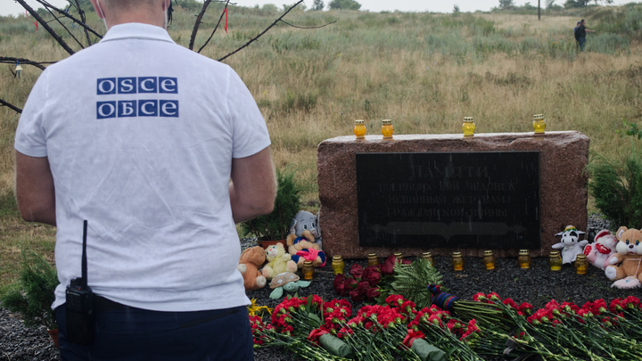 Дело о крушении MH17: сеанс саморазоблачения голландской стороны