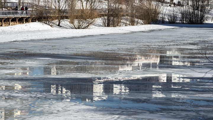 Народные приметы на 23 марта: что можно и нельзя делать в Василисин день
