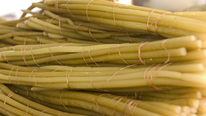 Фестивалю черемши нужен специальный гость: Власти Чечни разыскивают кота-гурмана