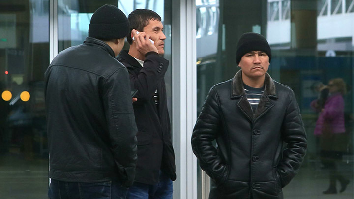 По принципу волкодава: Террор мигрантов против русских начинается с маленьких собачек
