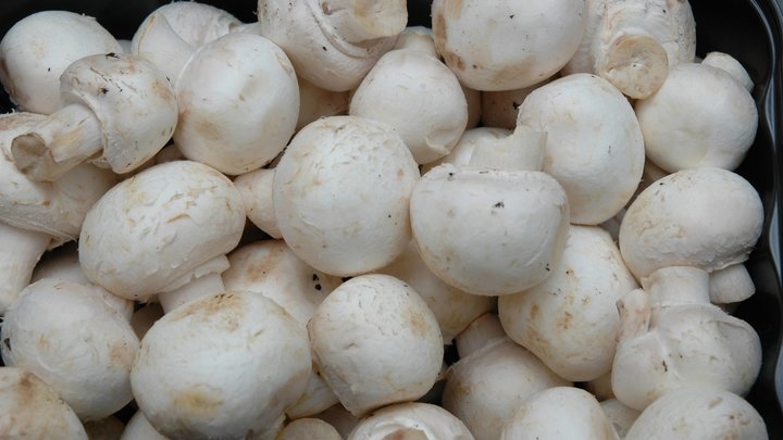 Обычные шампиньоны можно не всем: Специалисты озвучили предупреждение