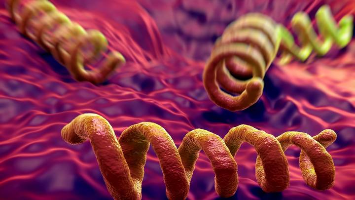 Пугающая статистика. Кому угрожает суперинфекция, охватившая Россию