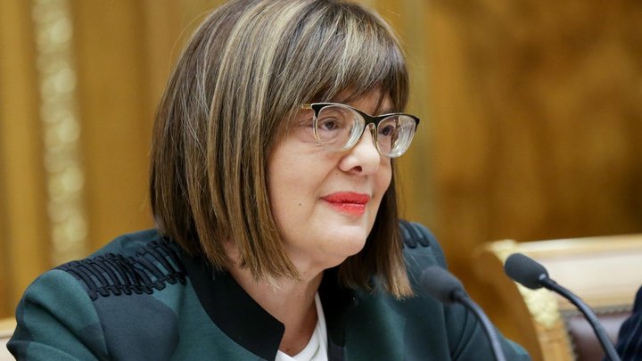 Санкции - никогда: В сербском парламенте не намерены портить отношения с Россией