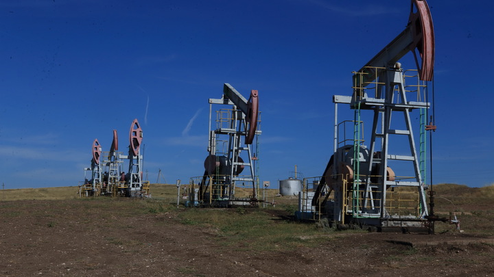 Покажите, где именно враждебный акт: Саудовский министр потроллил Запад
