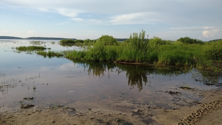 В Серпухове в реке нашли труп женщины, утонувшей полтора месяца назад