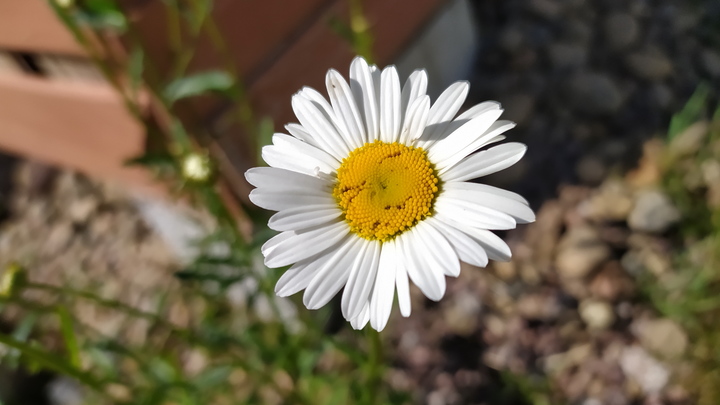 В Краснодарском крае 29 июня воздух прогреется до+31