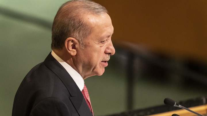 Турция отказалась признавать референдумы в Донбассе