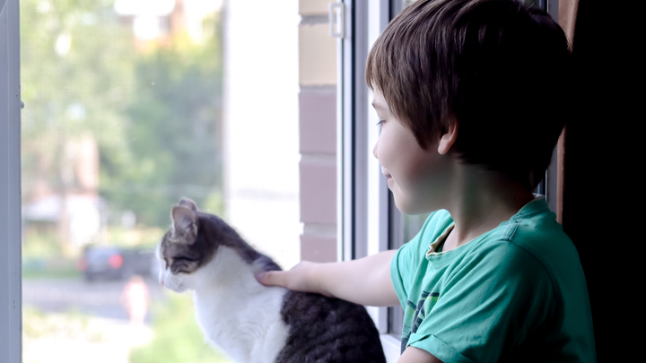 Семейная ипотека в России. Исследование о самой востребованной программе за пятилетку