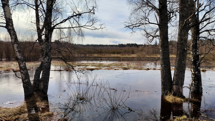 Уровень реки Нылга приблизился к неблагоприятной отметке