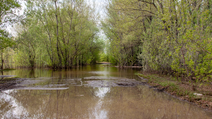 Уровень воды в Оби приближается к критической отметке
