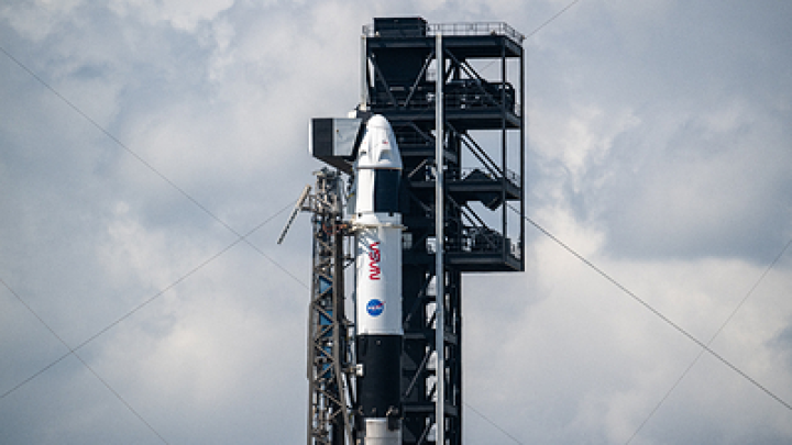 SpaceX отменила запуск Crew Dragon с космонавтом Песковым на борту