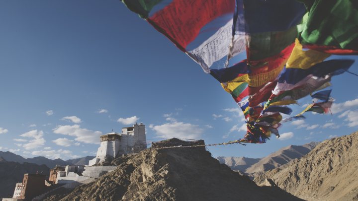 Давайте конкурировать друг с другом: Талибы предложили России, Китаю и США посоревноваться за Афганистан