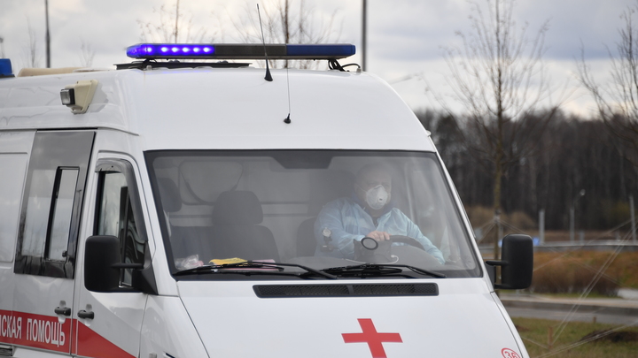 Разбушевавшиеся азербайджанцы покалечили полицейских: Начата отправка на родину