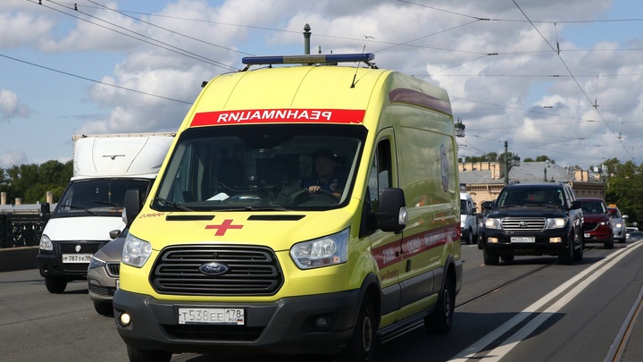 Рекламный стенд рухнул на семилетнего мальчика в Московском зоопарке