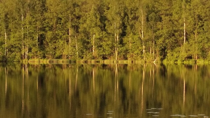 Муж и жена погибли в Нижегородской области, катаясь на лодке по озеру: выжил только их сын
