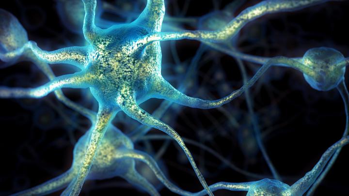 Академики РАН сравнили ИИ с оракулом