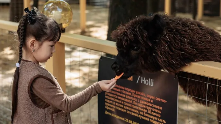 В парках Москвы благодаря участию бизнеса появились новые зоны отдыха