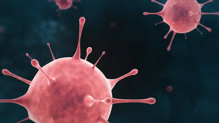 Вирусолог Малинникова предупредила о рисках появлении нового ковида