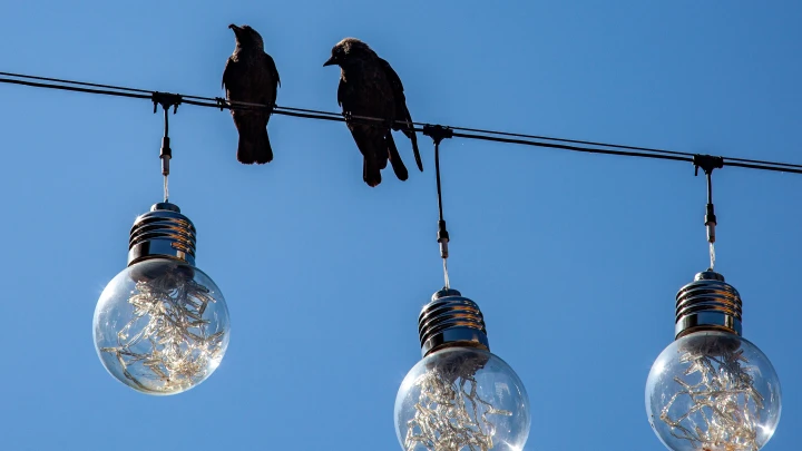 Отключение света, отопления и воды в Архангельске 18 ноября 2025 года