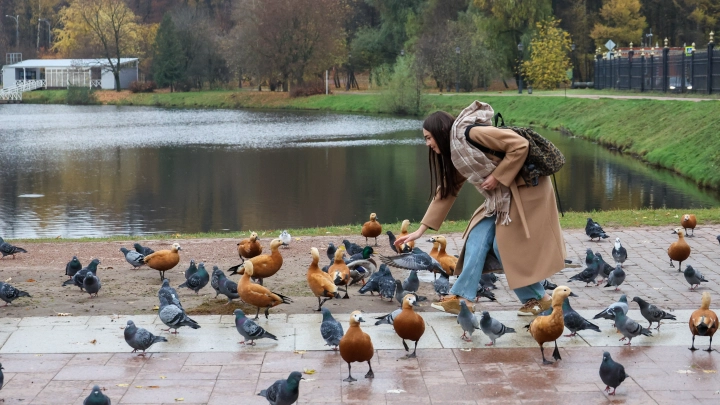 Сергей Куликов: Москва по праву носит имя молодёжной столицы России