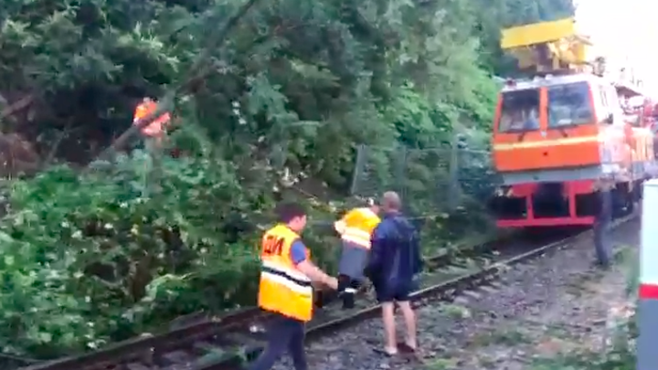 В Сочи на три часа задержали поезда из-за схода селя