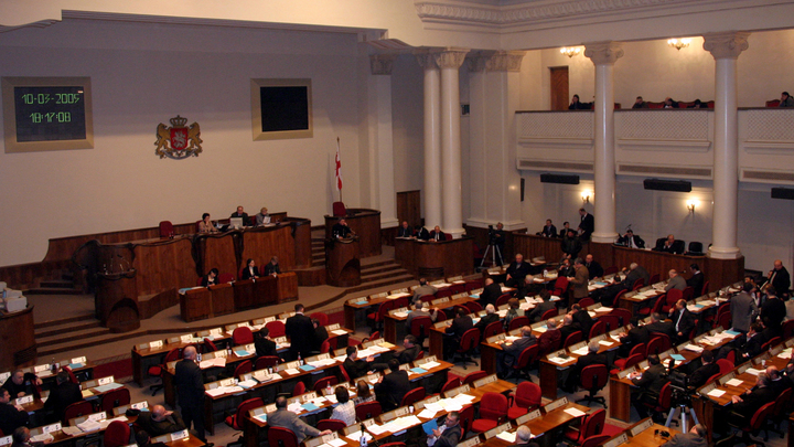 Какая страна, такие и скунсы: Михеев о кипеже в грузинском парламенте