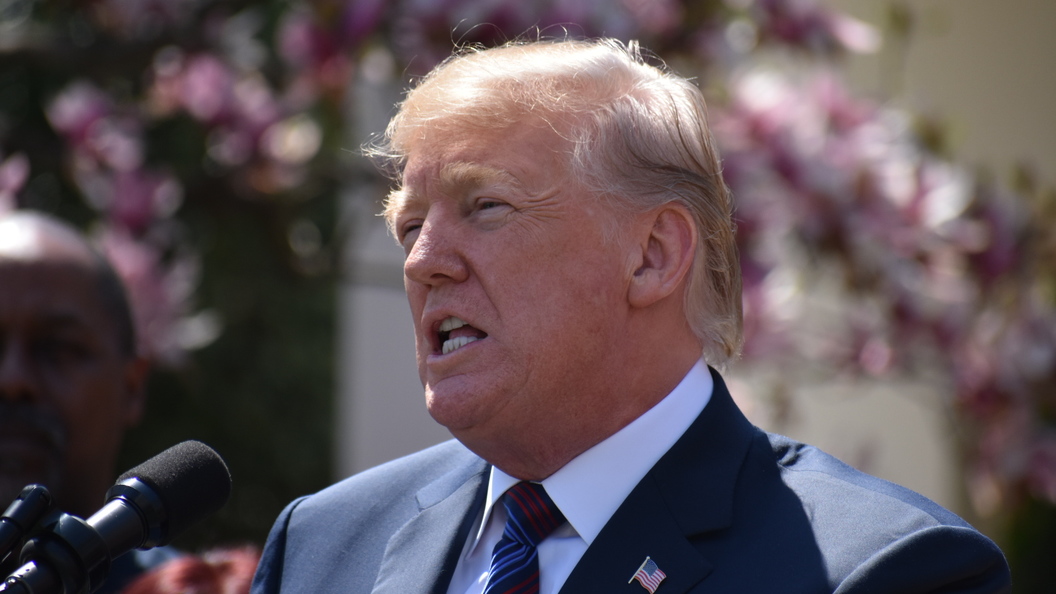 Трамп выбрал оружие, чтобы быть «таким же крутым, как Путин» Трамп выбрал оружие, чтобы быть «таким же крутым, как Путин»