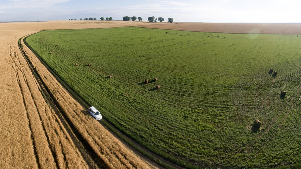 Минсельхоз экспорт