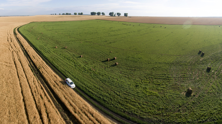 Квота выбрана: Минсельхоз прекратил экспорт зерна