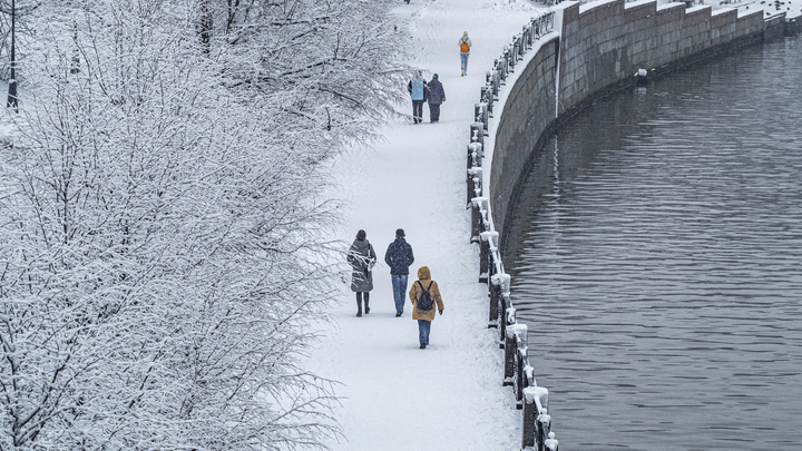 Единственное, чего очень боится режим Путина: Борец с путинистами попал в ленту Соловьёва с теорией о БТГ