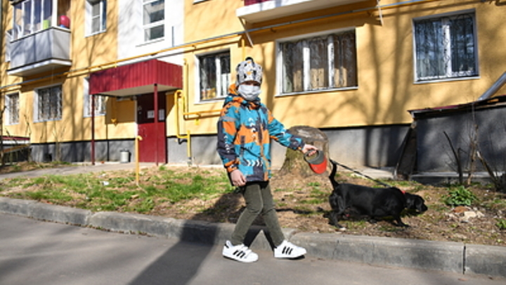 В двух районах Челябинска строят новые площадки для выгула собак