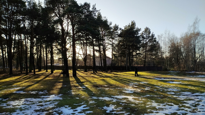 На Кубани придут потепление до +12°C и ливни