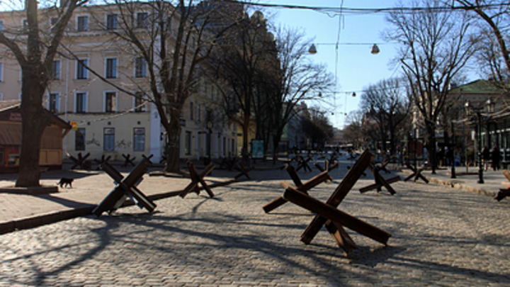 Там нет бедных овечек: Военный эксперт раскрыл настоящий состав ВСУ