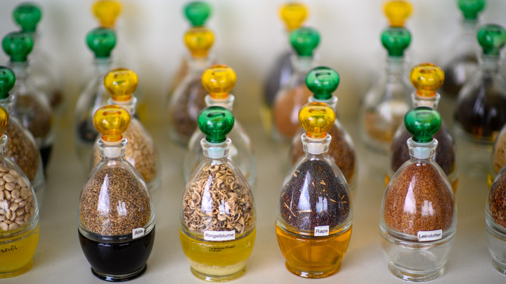 Жидкое золото: В Англии рестораны грабят ради запасов масла - секрет в русской нефти