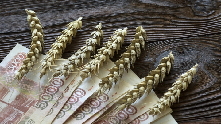 Президент Турции Эрдоган вновь заговорил о зерновой сделке. Договор может быть возобновлён