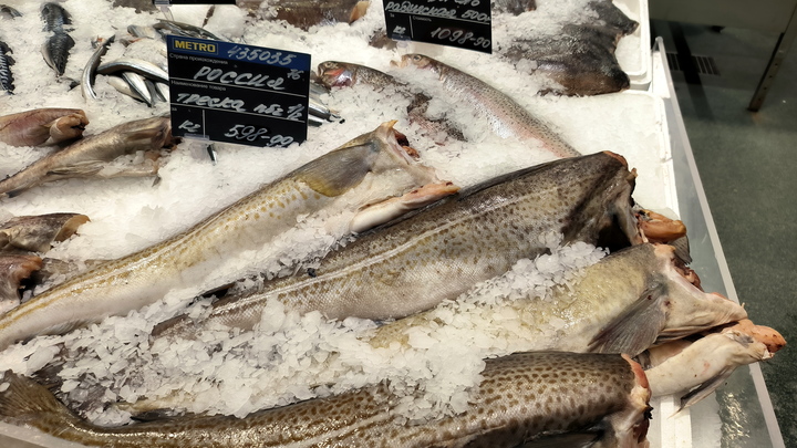 В США и ЕС начался рыбный кризис: Санкции против России лишают Запад популярных и дешёвых морепродуктов