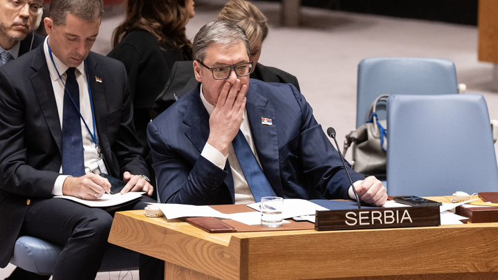 Вучич поблагодарил Россию и Китай за голосование против резолюции по Сребреницы