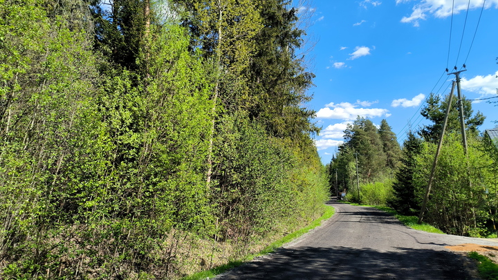 В Приморье нашли 92-летнюю пенсионерку, которая провела два дня в лесу