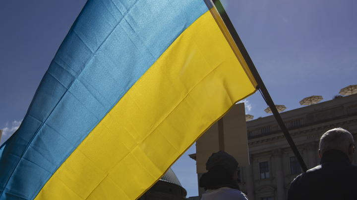 Это подарок или кредит?: Депутат ЕП задался вопросом, сколько Евросоюз тратит на Украину