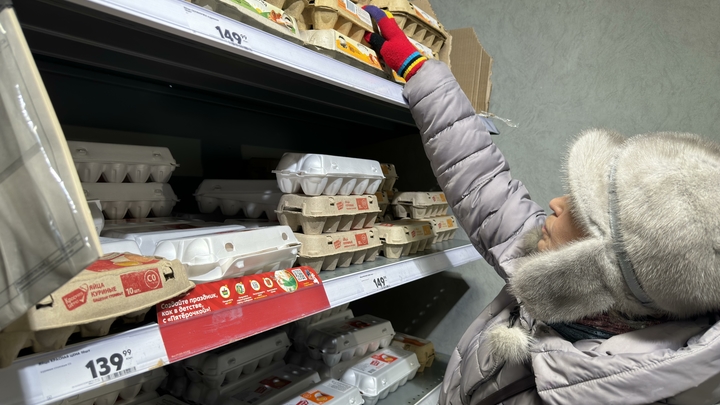 Вице-премьер Абрамченко спрогнозировала, когда упадут цены на яйца в России