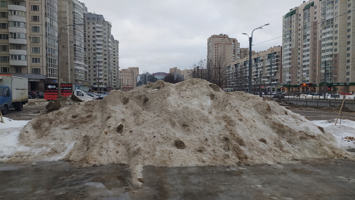 Погода в Ростове с 31 января по 6 февраля 2022: дождливо и пасмурно