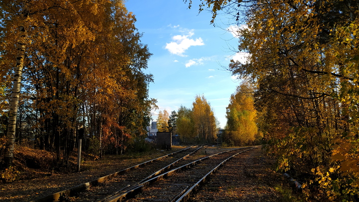 Украинцы остались без железной дороги в Кривом Роге после ударов ВС России