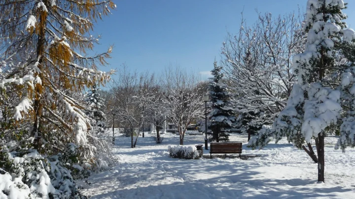 День Филимона 27 декабря: как по погоде предсказывали февраль и будущий урожай