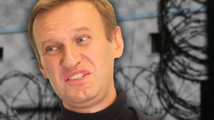 Восемь томов и гостайна: Дело Навального и Волкова получило новый поворот