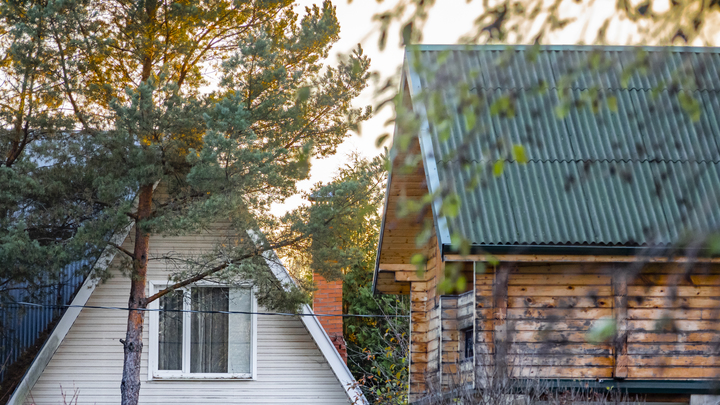 Упрощённая регистрация, экзамены для гидов и дачная амнистия: что изменится с 1 июля