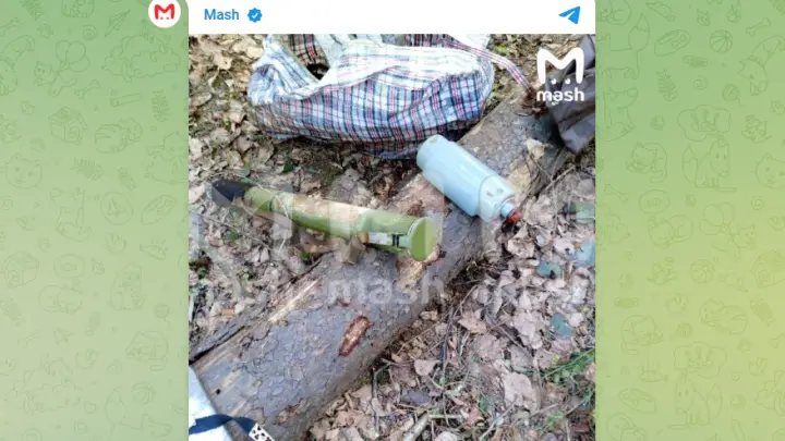 Рабочий в лесу Подмосковья отошел по нужде и нашел тайник с оружием ВСУ