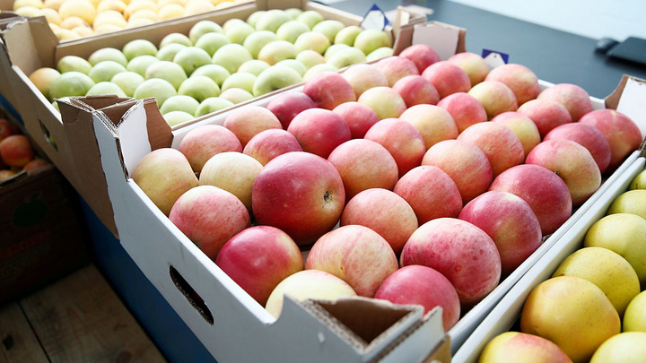В Краснодарском крае построили плодохранилище для яблок за 800 млн рублей