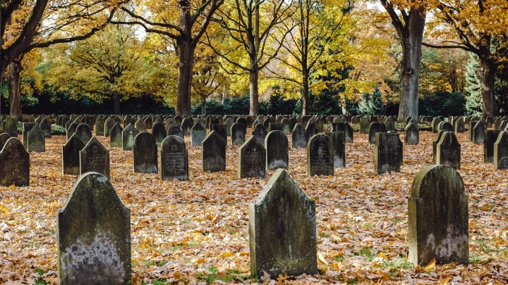 В Латвии установили особый антирекорд. Ликвидация набирает обороты